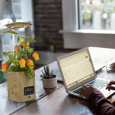 Multifunkciós SMART növénycserép párásító, Zene hangszóró, Bluetooth, Asztali virágcseréplámpa