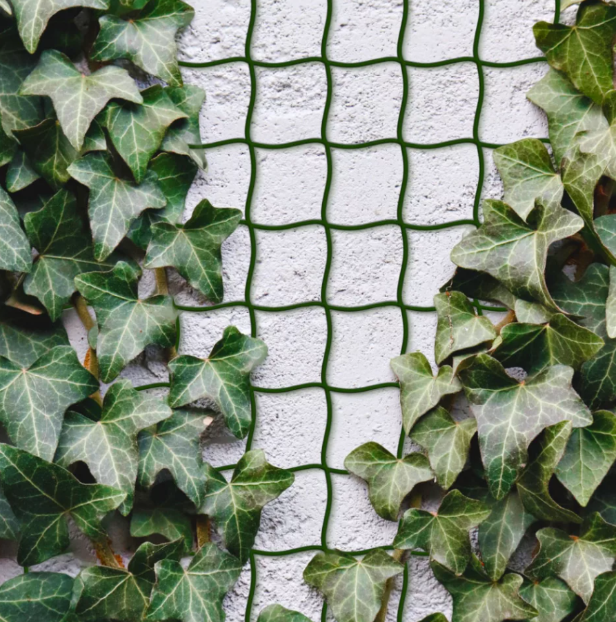 Növényfuttató háló - 5 m x 50 cm