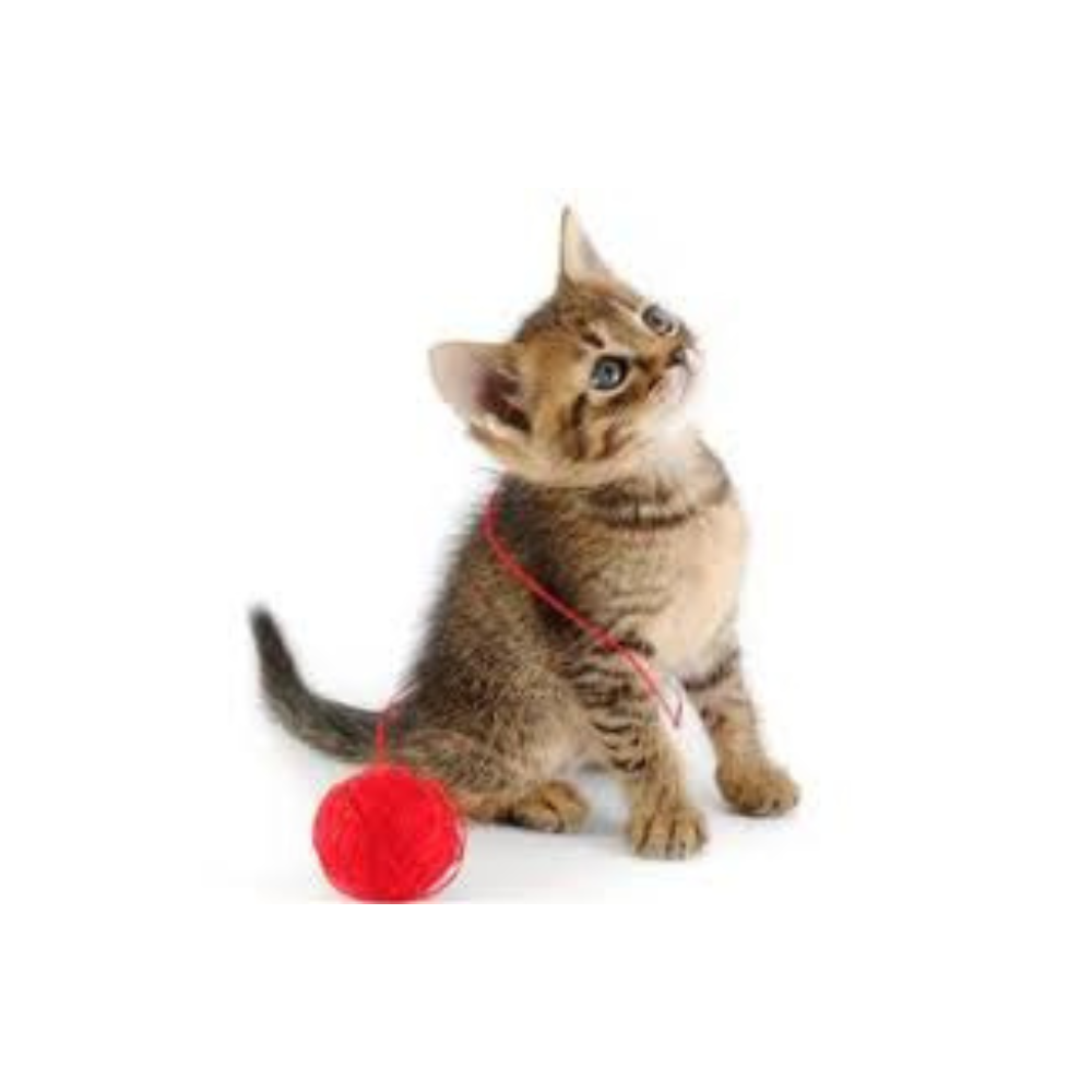 Nunbell Plüss labda szett 2db