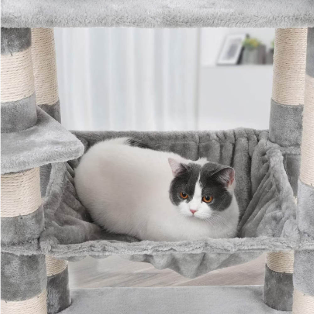 Nasus Macskakaparó házzal és ággyal Szürke