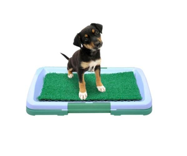 Beltéri kutya WC – hordozható, szagelnyelős, kölyökkutyák szobatisztaságra szoktatáshoz